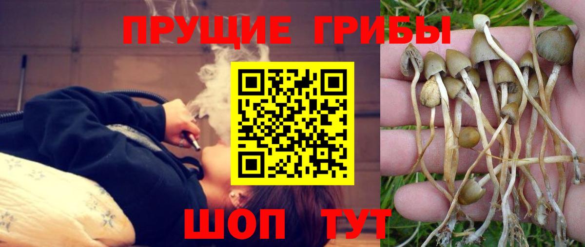 Сыктывкар  Псилоцибиновые грибы прущие грибы  купить закладку  Вход с VPN 